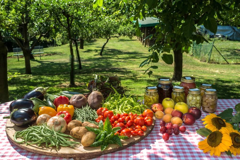 Colli Berici Villa Arcugnano Bagian luar foto