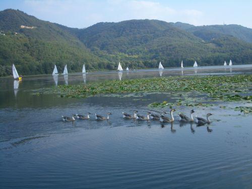 Colli Berici Villa Arcugnano Bagian luar foto