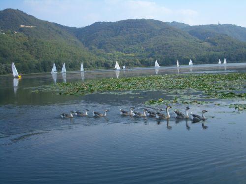 Colli Berici Villa Arcugnano Bagian luar foto